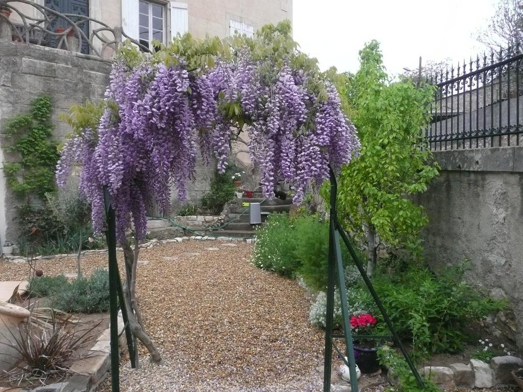 Clos du Magnolia Causses-et-Veyran Chambre photo